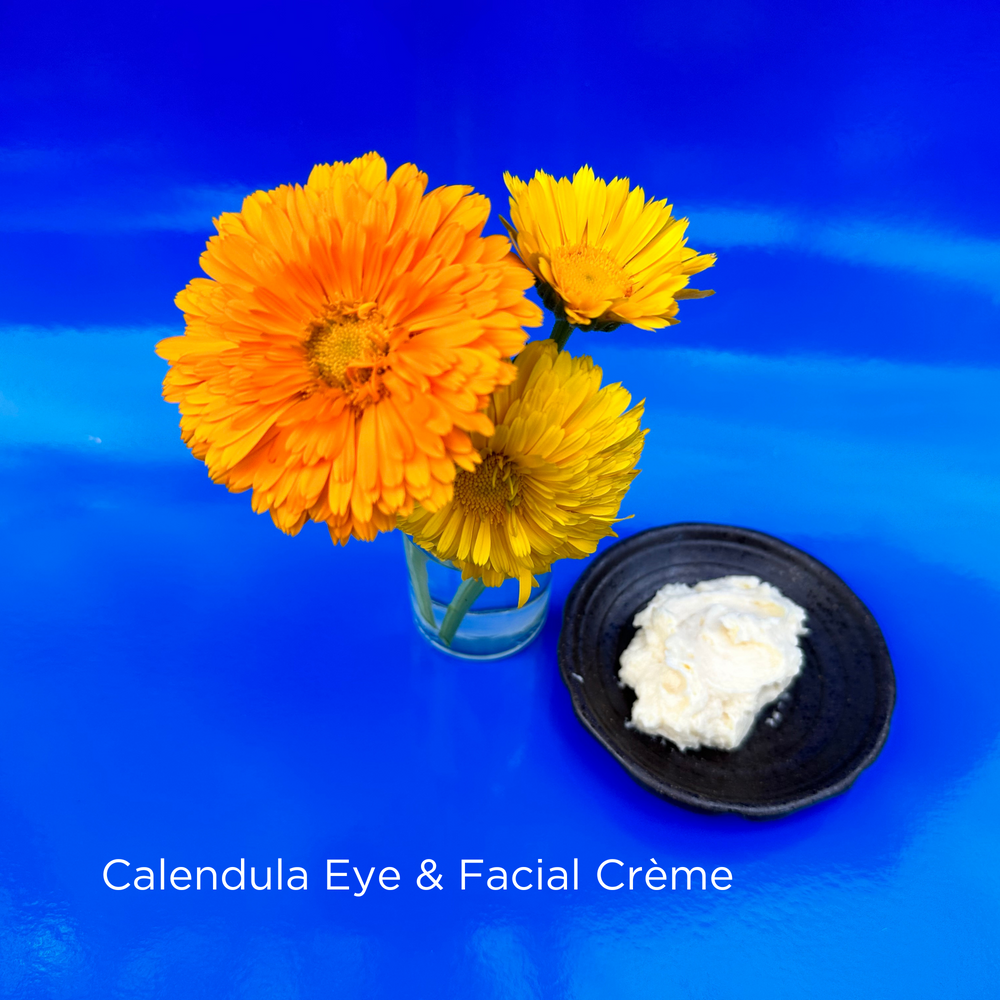 Calendula Eye & Face Crème - Nourishing Skin Care Delight for Dry Skin