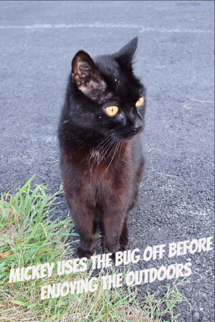 Bug Off