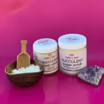 Succulent Skin Savior Kit